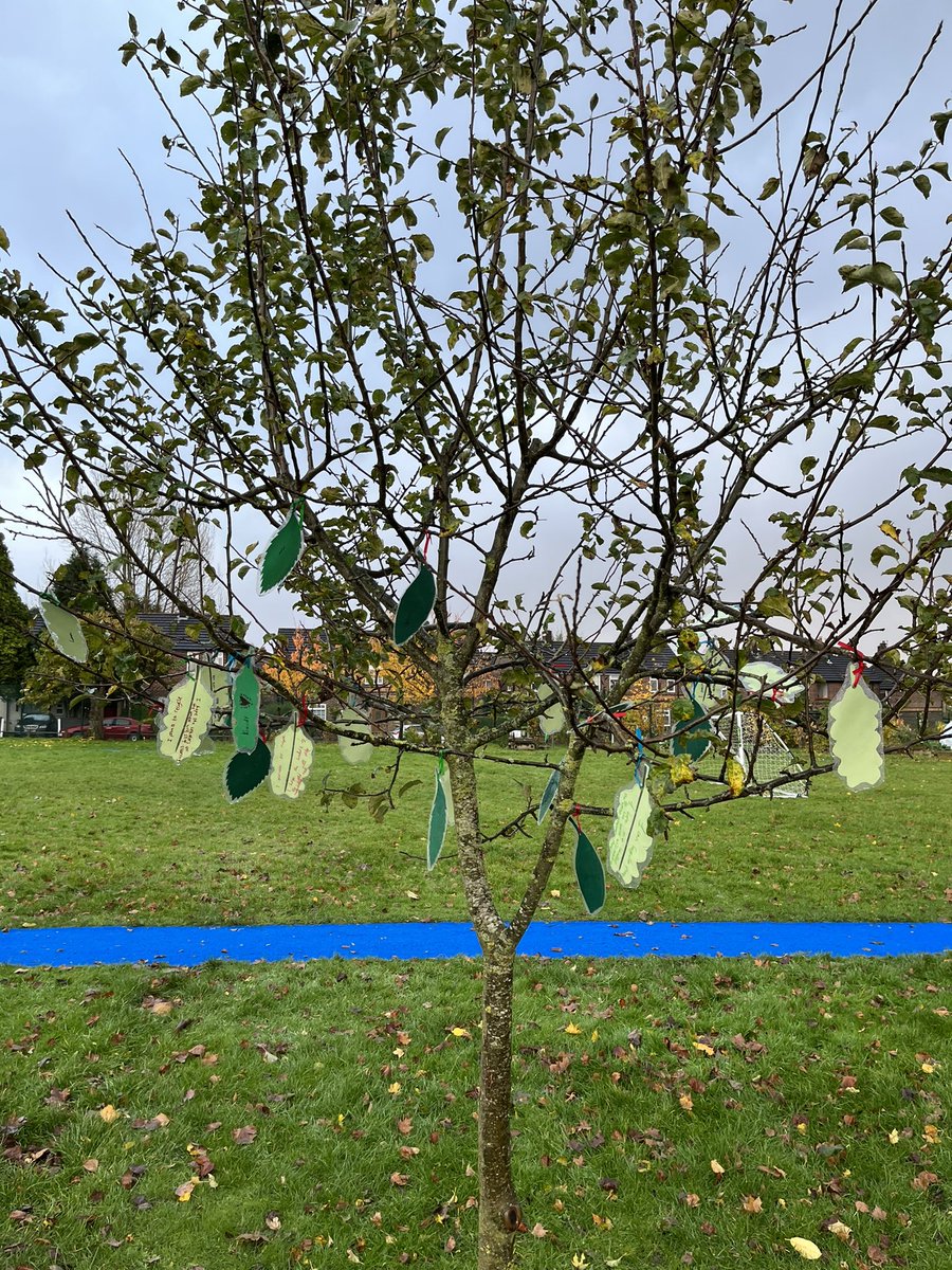 st_swinton's tweet image. Years 4 and 5 COP26 promises. As COP26 comes to an end we will start on our own journey to fulfill our promises. What will you promise to do to help the world? #COP26 @wwf_uk #FightForYourWorld #OneSharedHome