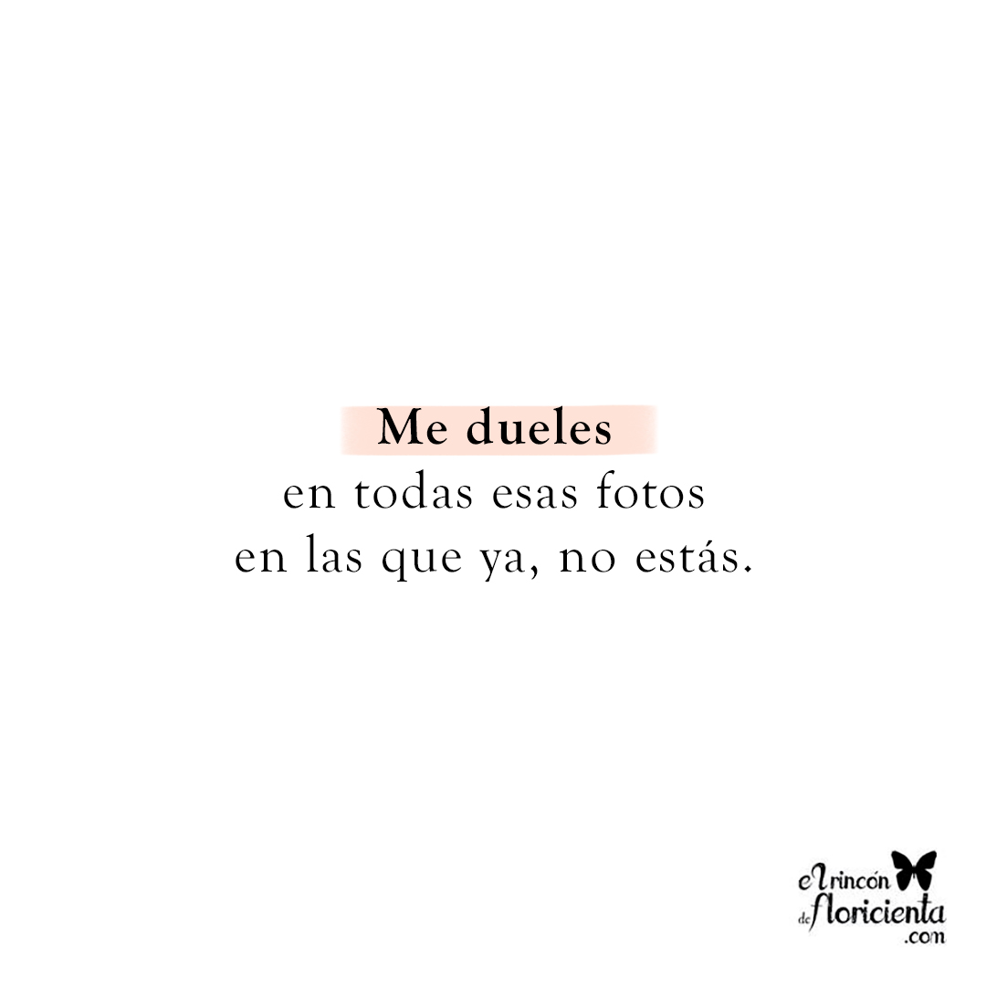 erdfloricienta's tweet photo. Y en todos los inviernos que están por venir 🌷

#ElRincónDeFloricienta https://t.co/L9pjnEceDL