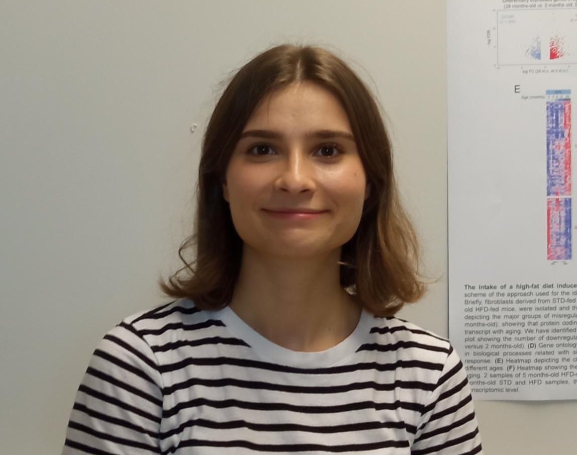 Diana Guallar tweet media