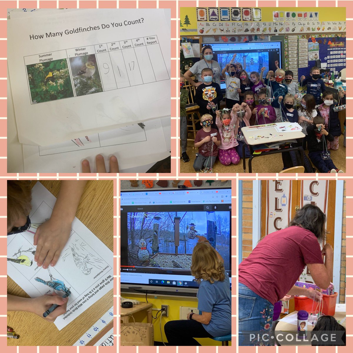 Thank you <a href="/WBU_Inc/">Wild Birds Unlimited, Inc.</a> for teaching us all about feeder watch and our local birds! We can’t wait to be citizen scientists in school and at home! 🦅🦅@NutSwampTigers <a href="/NutSwampSchool/">NutSwamp School PTA</a>