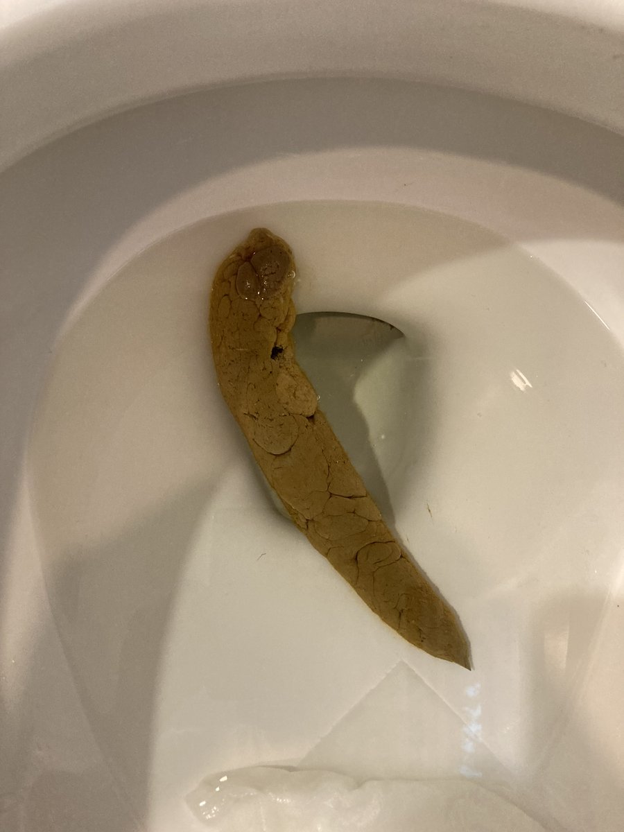 PooshawMp's tweet photo. @thetitanborn I dropped this extra HOT work early this morning. Creativity comes from a deep invisible place within pushing it's way out like a seed toward the golden sun in springtime. Follow PooChamp for the gold sh*t! https://t.co/rrMCcq7It0