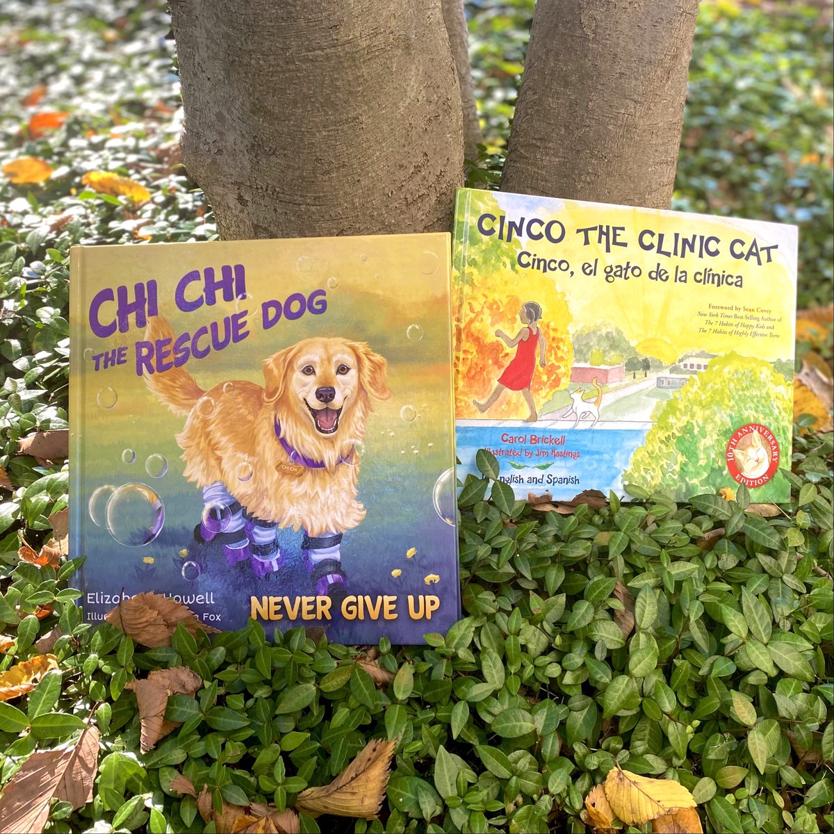 BrownBooksKids's tweet photo. It's National Animal Shelter Appreciation Week! We're showing love to animal shelters, courageous rescue animals, &amp; their forever families. Bring home #ChildrensBooks like Chi Chi the Rescue Dog and Cinco the Clinic Cat, &amp; support animal shelters!

#AnimalShelter #AdoptDontShop https://t.co/CI1ai7xNhk