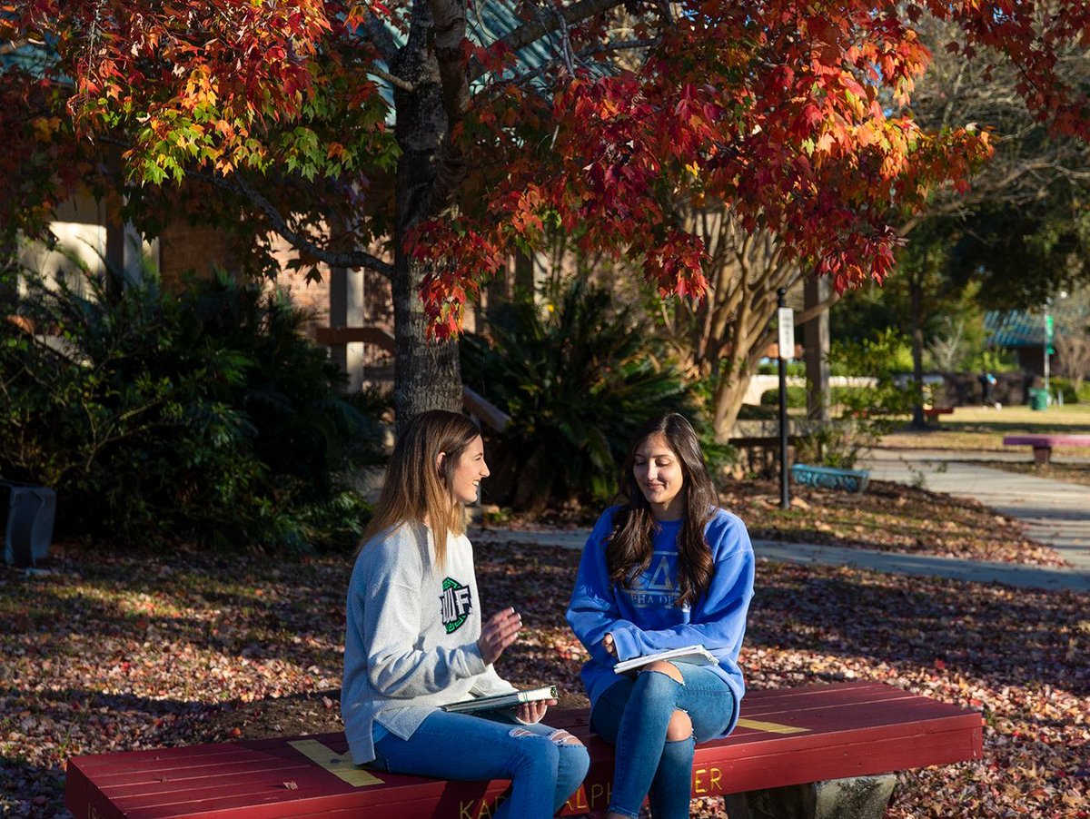 UWF's tweet photo. The autumn leaves falling down like pieces into place 🍂

@taylorswift13🧣 https://t.co/J29Xkh9MDy