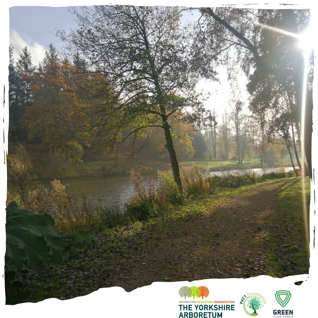 GreenTaskForce1's tweet photo. The team had a great time attending a Biosecurity course at Castle Howard this week. 
The @YorksArboretum is a beautiful setting, thank you for having us. 

#greentaskforce #pattfoundation #treeplanting #vetssupportingvets  #nature #biosecurity #yorkshire https://t.co/x4aaXlBM57