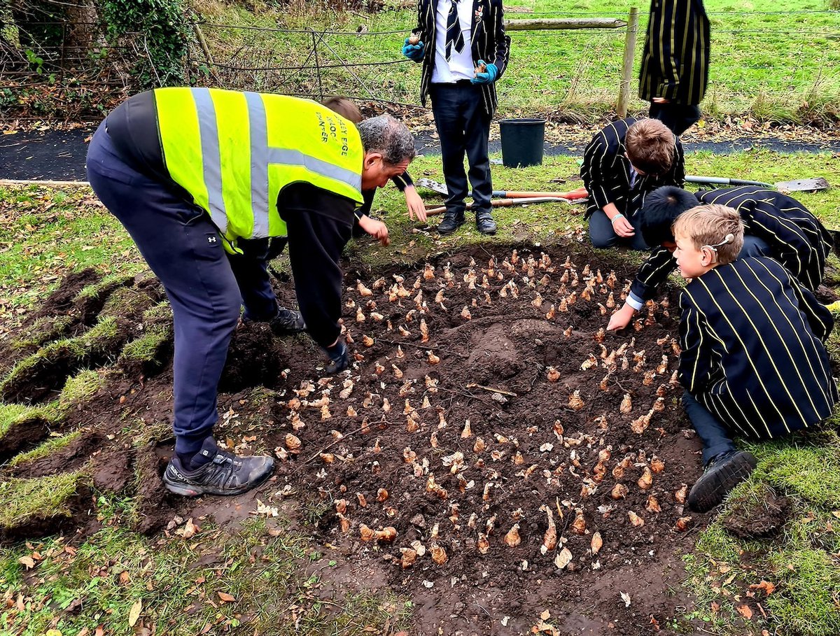 alderleyedgecom's tweet photo. Enthusiastic bunch join mass bulb planting @TheRyleys https://t.co/lkB3VoRN9L https://t.co/VxZ4vB8HXv