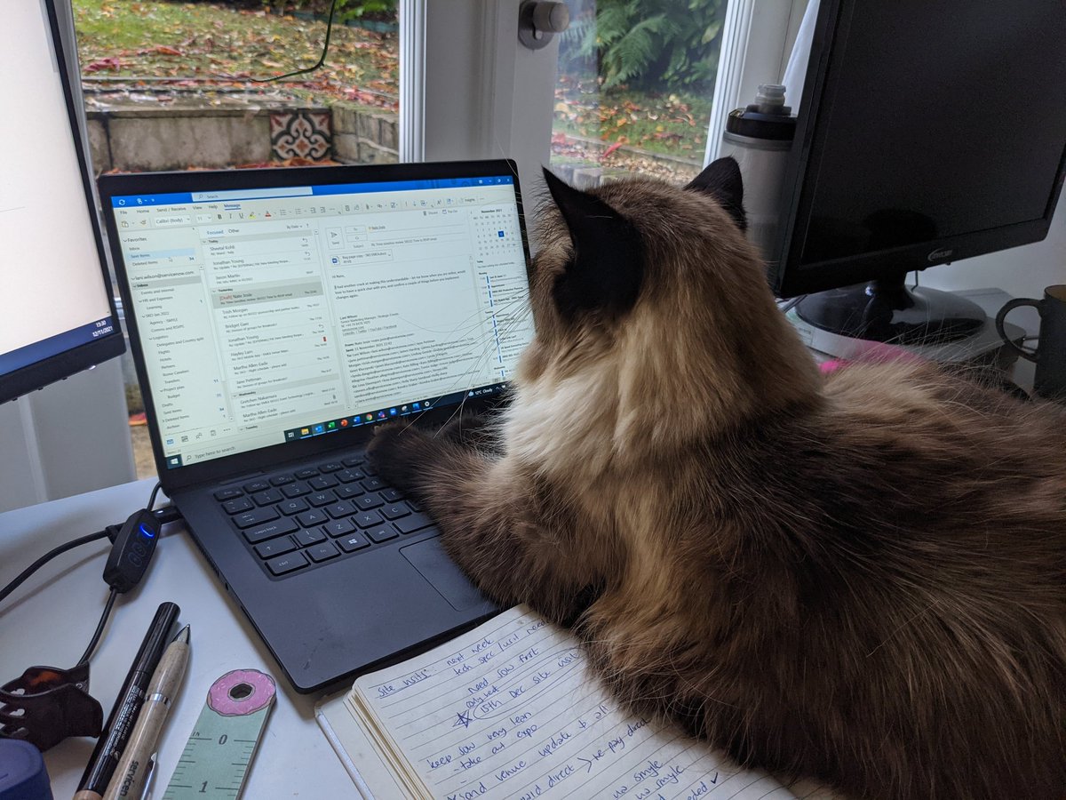 My cat is responding to mail on my behalf until further notice