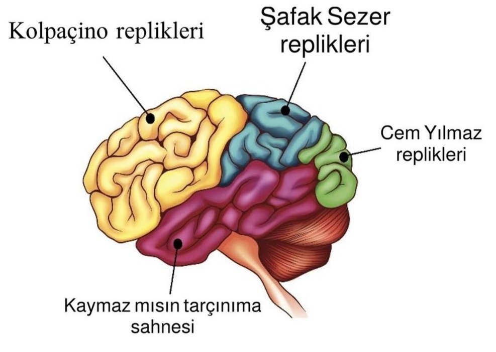 Bizim kafa <a href="/ogulcanuskaner_/">Ogi</a>