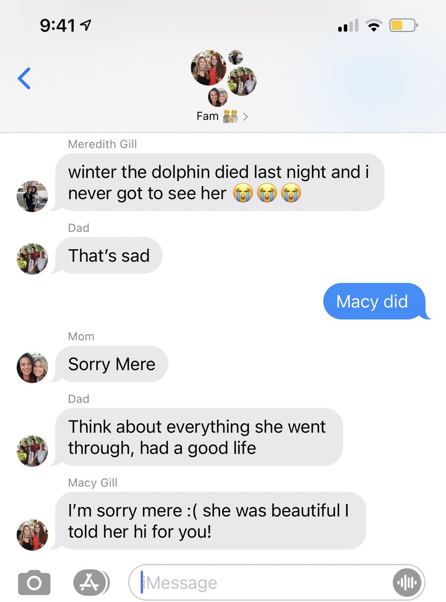 9:41am and consoling my 20 year old sister about a dolphin’s death in the fam group chat.