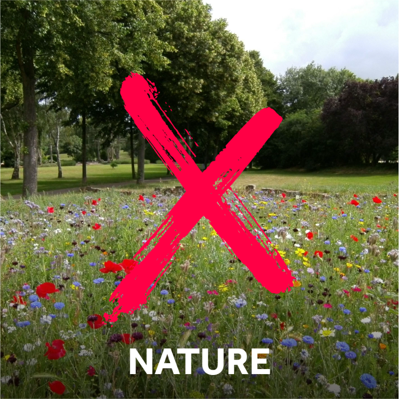 FieldsInTrust's tweet photo. Parks are good for the planet. Yet their benefits could be endangered.
Help prevent #parkXtinction - use our look-up tool to check the environmental contribution of your local parks and see if they need saving.
#COP26 #GreenSpacesForGood