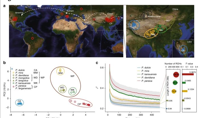 La Duraznera 🌳✨ tweet media