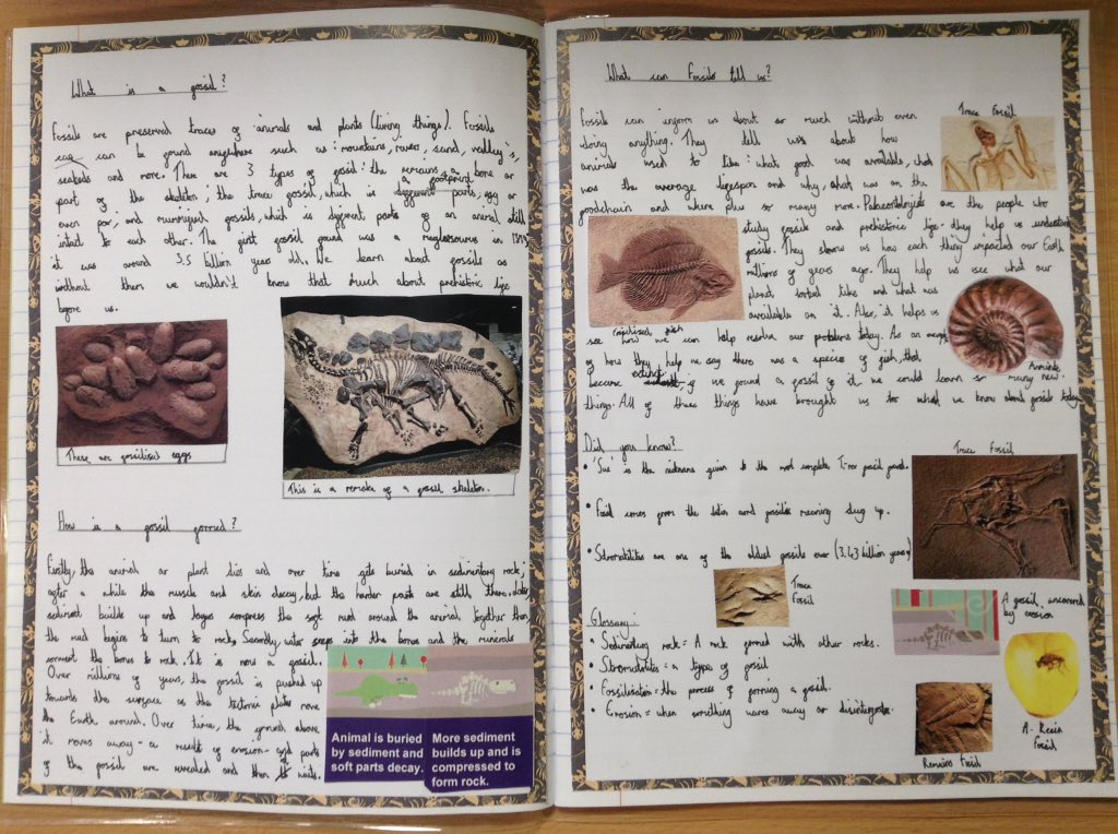 latimerprimary's tweet image. Wow! What amazing writing! #ClassBL have been creating some amazing reports on fossils. #LatimerScience