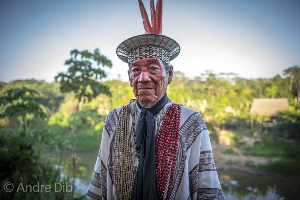 Ashaninka Apiwtxa tweet media