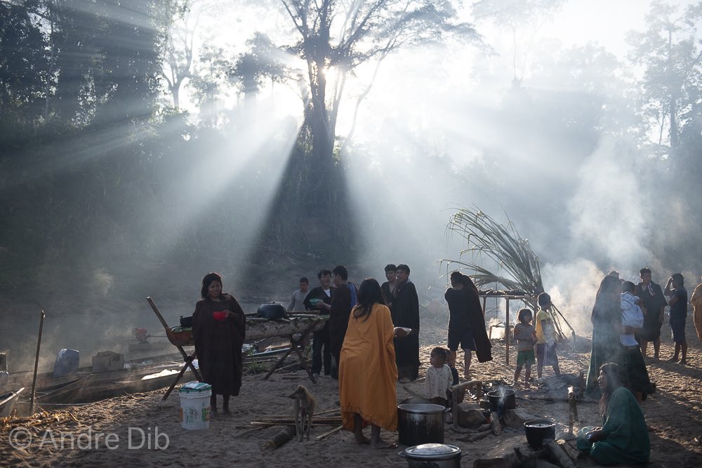 Ashaninka Apiwtxa tweet media