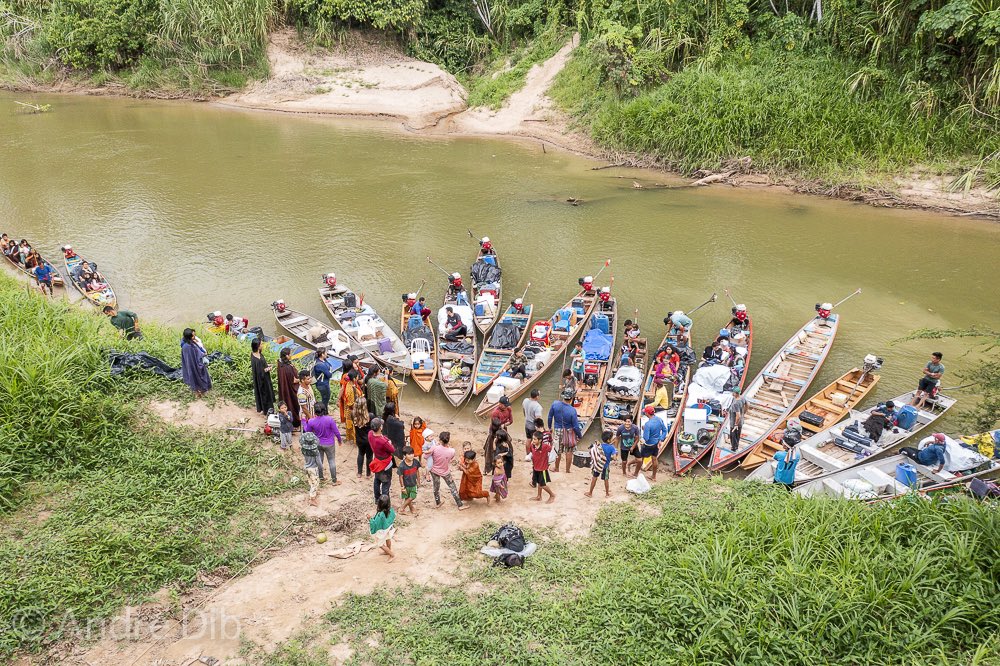 Ashaninka Apiwtxa tweet media