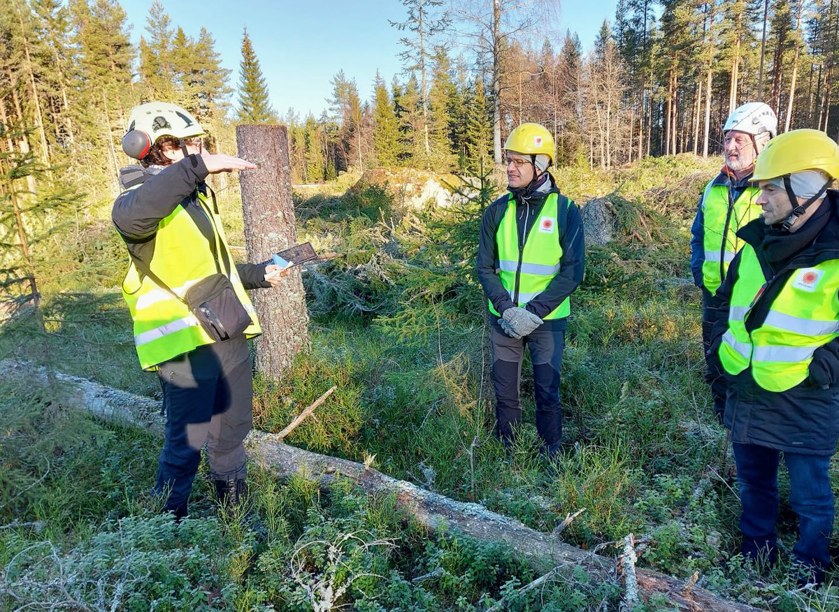 The embassy team was in the boreal forest today🌲

Learning about sustainable forest management in 🇸🇪 with <a href="/storaenso/">Stora Enso</a> in #Falun (tusen tack!) and identifying areas for further 🇨🇵🇸🇪 cooperation on sustainable and multifunctional 🇪🇺 forests. <a href="/Agri_Gouv/">Ministère Agriculture et Souveraineté alimentaire</a> <a href="/Skogsstyrelsen/">Skogsstyrelsen</a> <a href="/ONF_Officiel/">Office national des forêts</a>