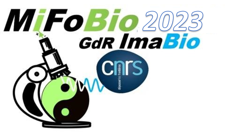 GDR_ImaBio's tweet photo. Thanks to all speakers, participants, companies, sponsors for an amazing #MiFoBio2021. Intense interdisciplinary sharing through lectures, workshops, round tables ... so good to be back in a onsite event ! Have a safe trip home, stay tuned for coming events by our working groups https://t.co/SzL2D14sEK