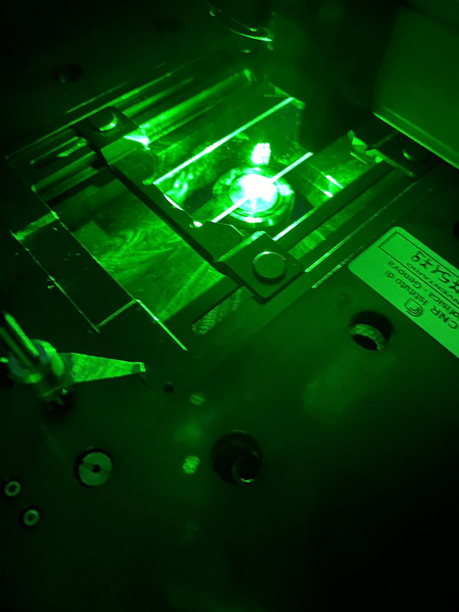 Giuseppe Ciccone (@giusciccone) on Twitter photo #Brillouin spectroscopy of #hydrogels for #mechanobiology <a href="/MassiVassi/">Massimo Vassalli</a> <a href="/MarianaAG0/">Mariana Azevedo G Oliva</a> <a href="/pannaalessandra/">Alessandra - #Sanremo2025</a> <a href="/GiulioCapponi/">Giulio Capponi</a> Silvia Caponi and Maurizio Mattarelli at <a href="/UniperugiaNews/">Università degli Studi di Perugia</a> #Brillouin spectroscopy of #hydrogels for #mechanobiology <a href="/MassiVassi/">Massimo Vassalli</a> <a href="/MarianaAG0/">Mariana Azevedo G Oliva</a> <a href="/pannaalessandra/">Alessandra - #Sanremo2025</a> <a href="/GiulioCapponi/">Giulio Capponi</a> Silvia Caponi and Maurizio Mattarelli at <a href="/UniperugiaNews/">Università degli Studi di Perugia</a>