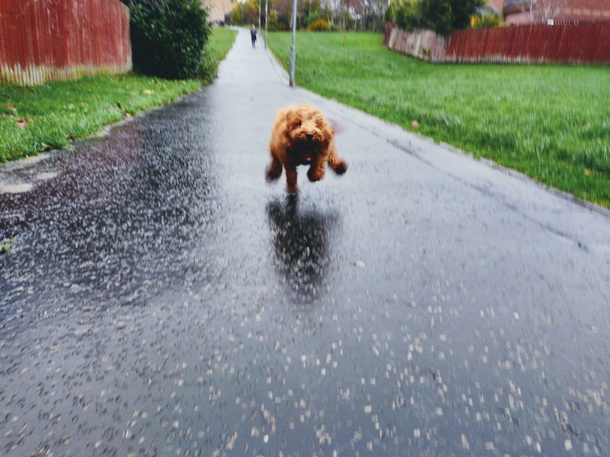 Lynn Taylor tweet media