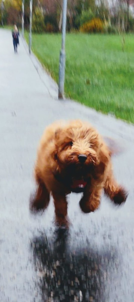 Lynn Taylor tweet media