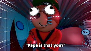 pedro_parm's tweet photo. https://t.co/ol8HhWIltN
