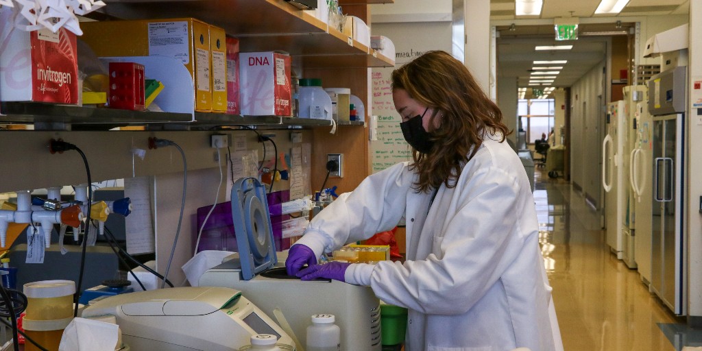 Chancellor's Science Scholars tweet media