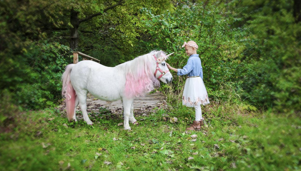 ladyrdskin34's tweet photo. Have a magical weekend!!
❤️Shoni and her unicorn friend, Parker.
#leukemiawho #teamshoni https://t.co/hoya30r71I