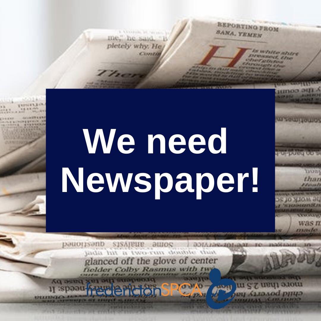 We are in need of newspaper. It can be dropped off at our adoption centre or at Shur-Gain Feeds’n Needs. Thank you for your support! 🐾🐾