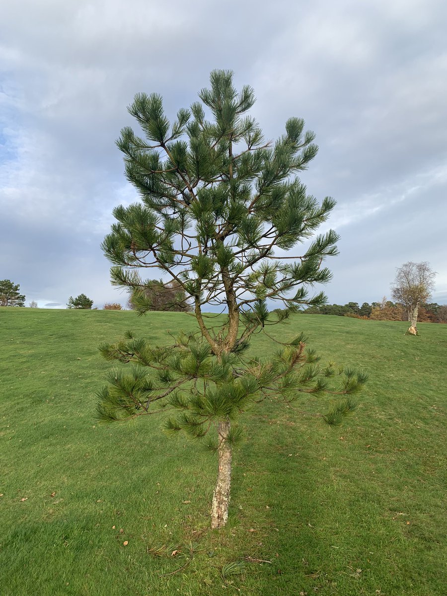 Is this where your 2022 promotional leaflet or brochure begins? Consumption &amp; waste needs to reduce and so does your business’s carbon footprint. Start with some easy wins : look here downtowncitymaps.com to see a real alternative way. #COP26 #NetZero #ClimateAction #zerowaste