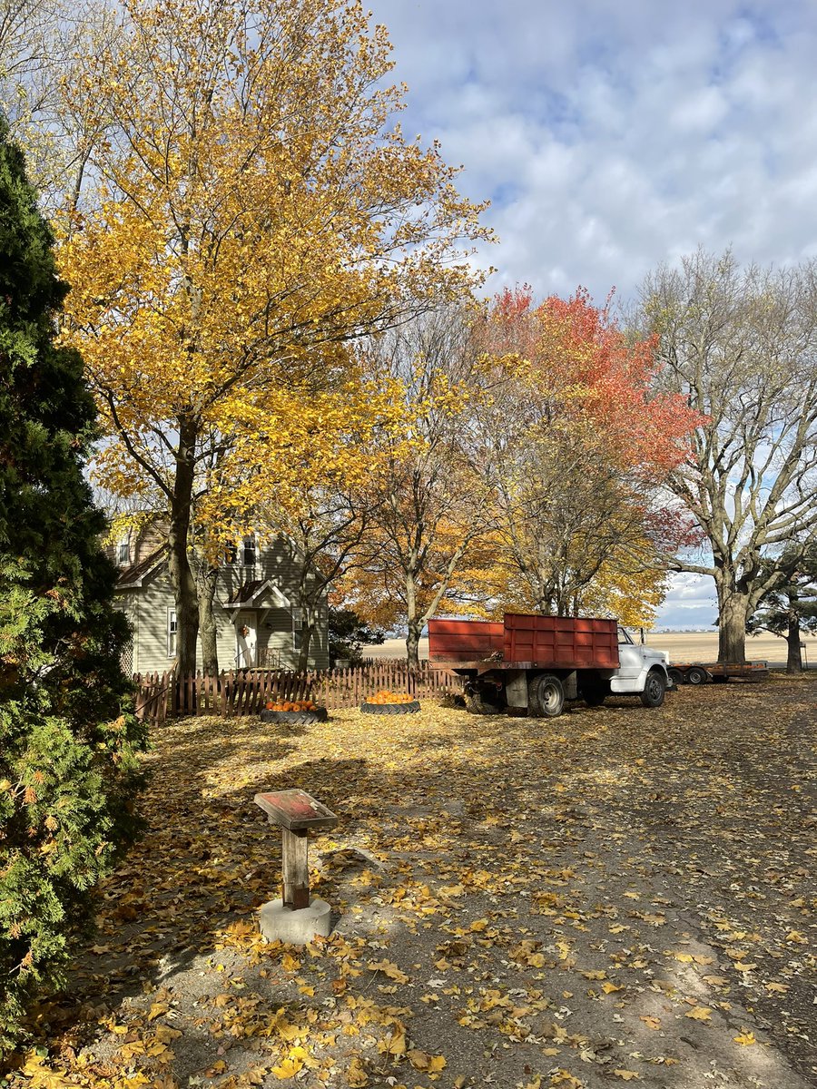 ThePatch200's tweet photo. Take a moment today to enjoy the beauty that’s all around us. #tgpp #fallcolors https://t.co/sdjEVVtObq