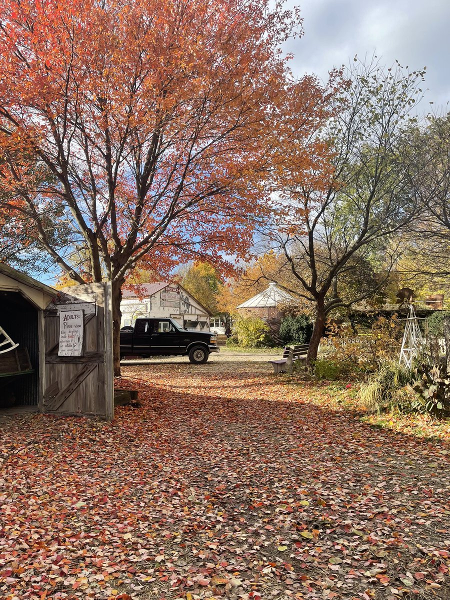 ThePatch200's tweet photo. Take a moment today to enjoy the beauty that’s all around us. #tgpp #fallcolors https://t.co/sdjEVVtObq