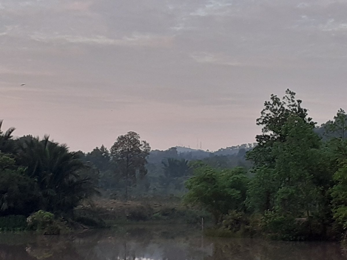 naturologi's tweet photo. It cuts to my heart, as I see the increasing environmental deterioration in my homegrown area recently in Kejora village. https://t.co/qLz5RjEpft