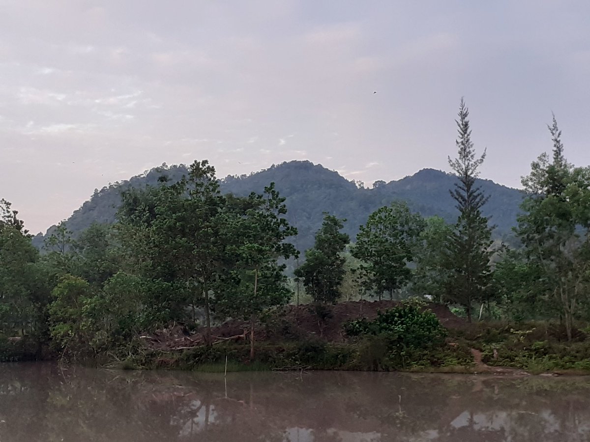 naturologi's tweet photo. It cuts to my heart, as I see the increasing environmental deterioration in my homegrown area recently in Kejora village. https://t.co/qLz5RjEpft