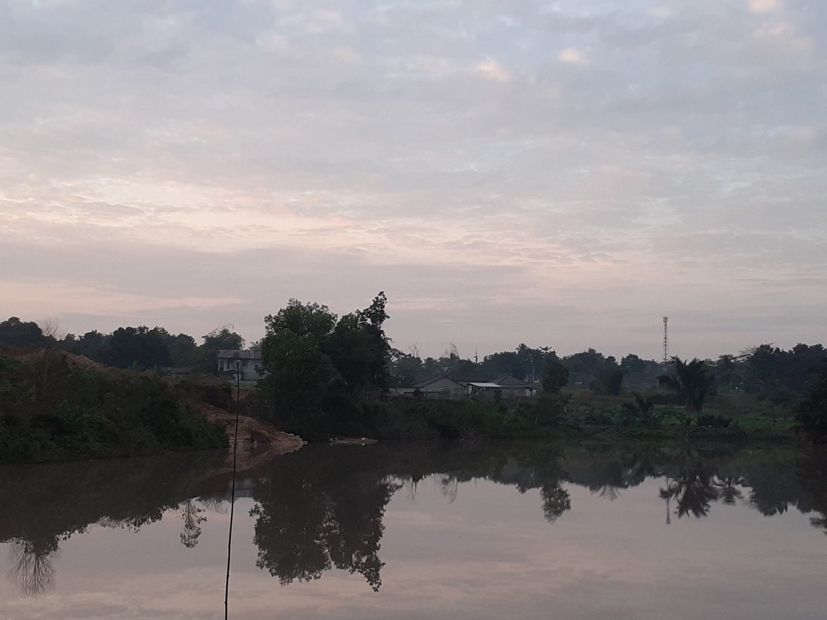 naturologi's tweet photo. It cuts to my heart, as I see the increasing environmental deterioration in my homegrown area recently in Kejora village. https://t.co/qLz5RjEpft