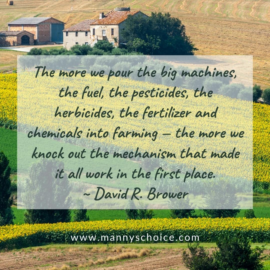 MannysChoice's tweet photo. When you buy from Manny's Choice, you support Old World organic farming practices. We source our wheat from European farms that use no pesticides, herbicides, or GMOs. ✨🌾

#eatrealfood #organicfarmers #organicfood https://t.co/vfBcvKVYSR