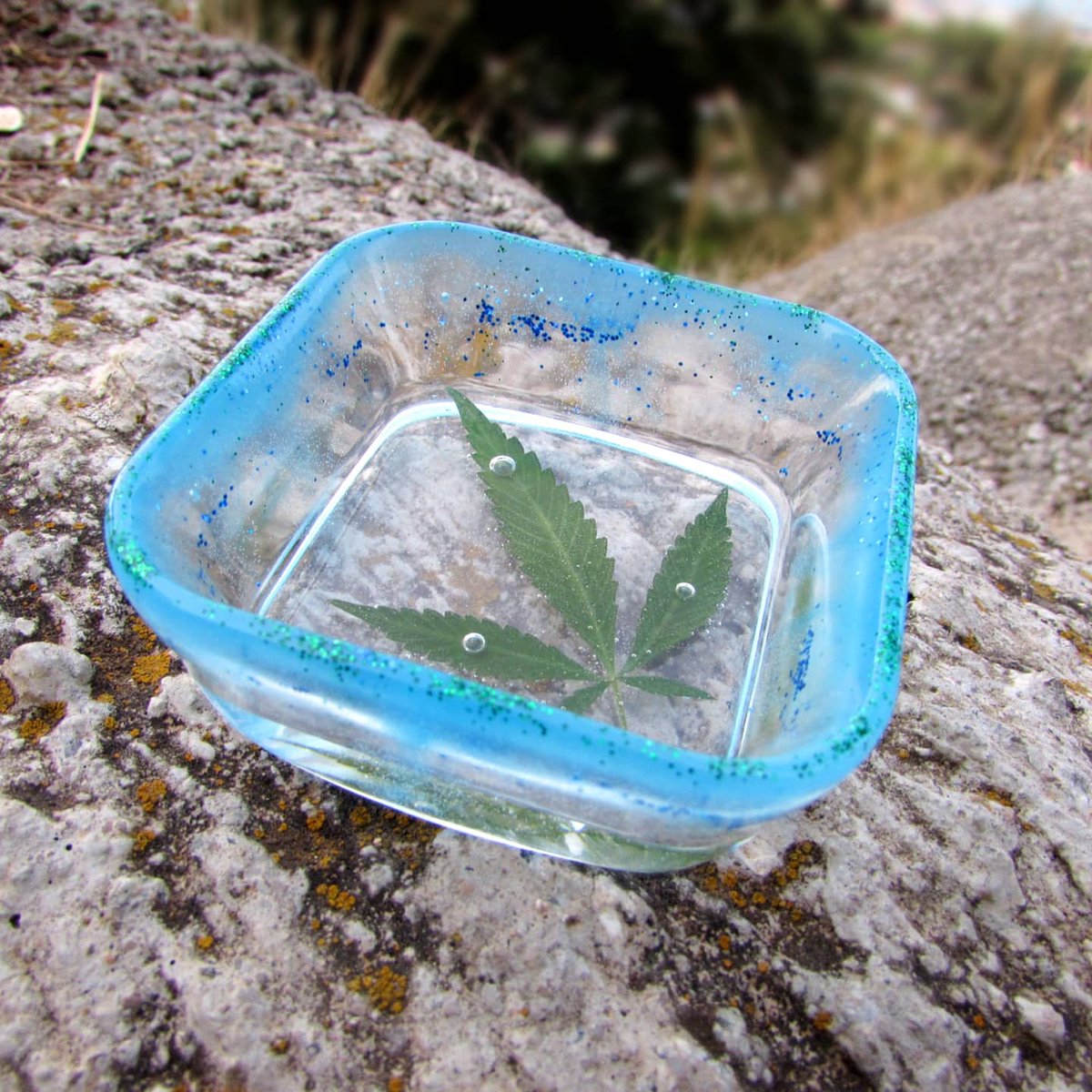 thc_in's tweet photo. 🪄🌱🌟💚
Cuencos artesanales para liar los mays con hojas naturales encapsuladas!!!
Los bordes de colores brillan en la oscuridad 😱🌟🌟🌟

Pronto prepararemos algún sorteito de alguna de nuestras cositas de parafernalia 😏🍃

Buuuuuenos humos esta tarde de viernes peñiiiita✨🌬️ https://t.co/2wykFXLfrS