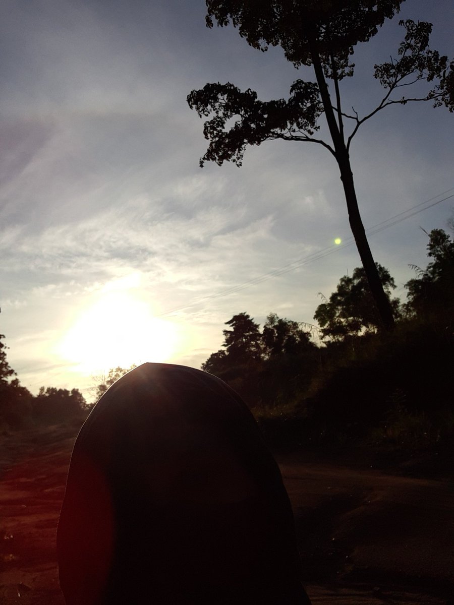 naturologi's tweet photo. It's been a week, I haven't been out for a morning jog. Usually on Saturdays I take the time for at least 30 minutes of morning running. But what has happened? https://t.co/XMKtx80izp