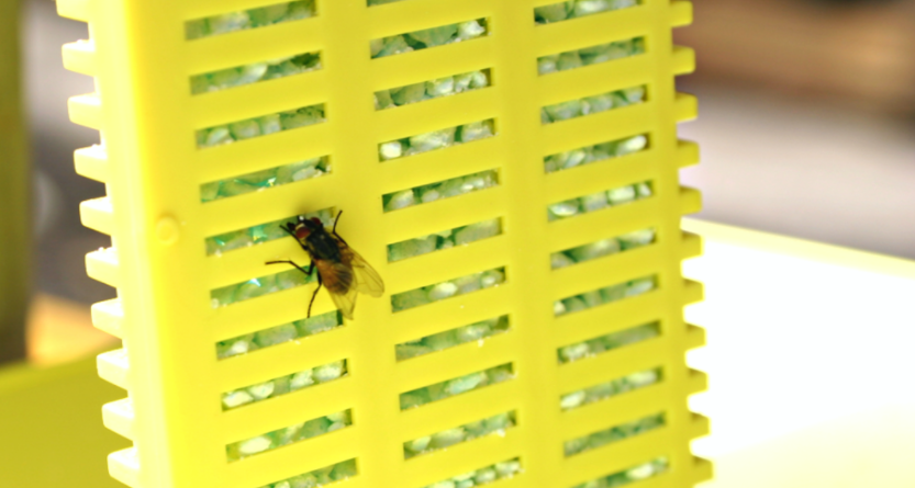 StarbarProducts's tweet photo. With an Integrated Pest Management (IPM) Program in place, you can ensure success in #flybait application and better understand your fly control problems. To maximize your #fly control efforts, we put together a few tips for applying fly baits. #Starbar https://t.co/628Sh6ympt https://t.co/auQZh8sZpG