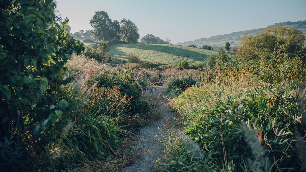 _CreateAcademy_'s tweet photo. Naturalistic Garden Design with Dan Pearson is now live to watch! We loved every moment of creating this course alongside @thedanpearson, and canโt wait to see how it inspires your gardens. Start watching here: https://t.co/87kpVFEj29
#joyfullearning #createacademy #danpearson https://t.co/5hcAlIHrQ6