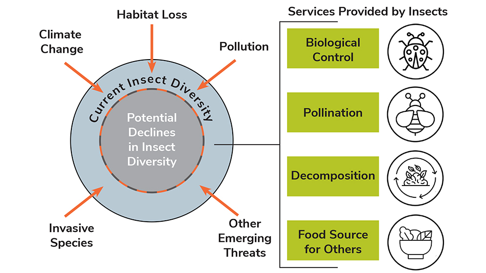 Entomological Society of America tweet media