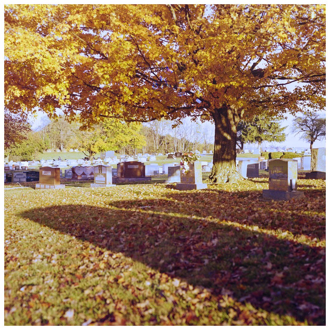 sdotpelt's tweet photo. Finally getting my flowers

📸 #pentax67 🎞 #Portra400

#fall ➖ #documentary #film #ishootfilm #cpwwpc #filmisnotdead #believeinfilm #keepfilmalive #nograinnoglory #filmshooterscollective #blackwithfilm #seasonedfilm #boxspeed #drivebyfilm #cemetery #87thfamily #portrafeed https://t.co/1CXyM5AQcX