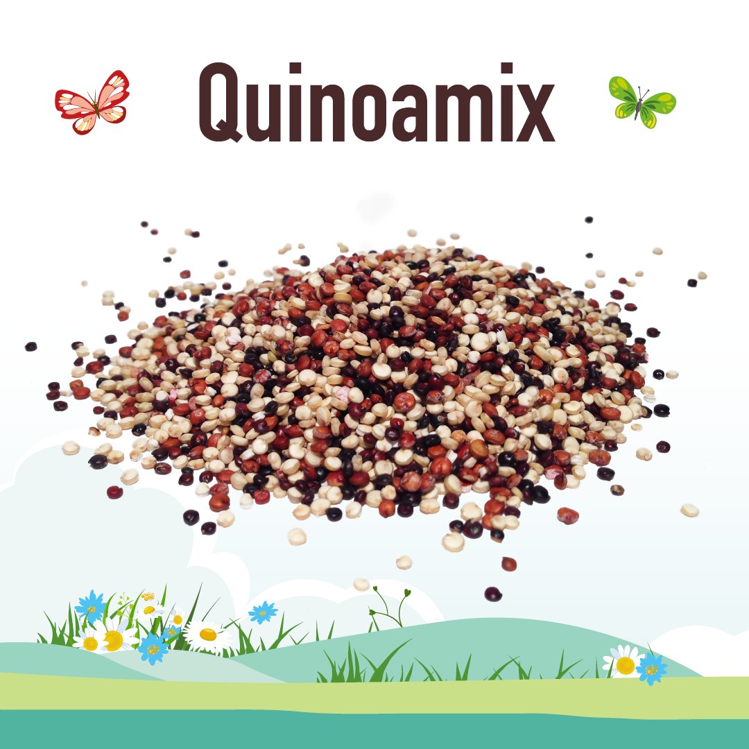 Onze quinoamix bestaat uit witte, rode en zwarte quinoa: voor de optimale mix van kleuren, textuur en smaken. De drie kleuren lijken op elkaar maar zijn allen net even anders: rood en zwart is wat krokanter en smaken wat sterker. Super lekker en toch net weer even wat anders!