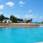 ツイートに含まれる画像