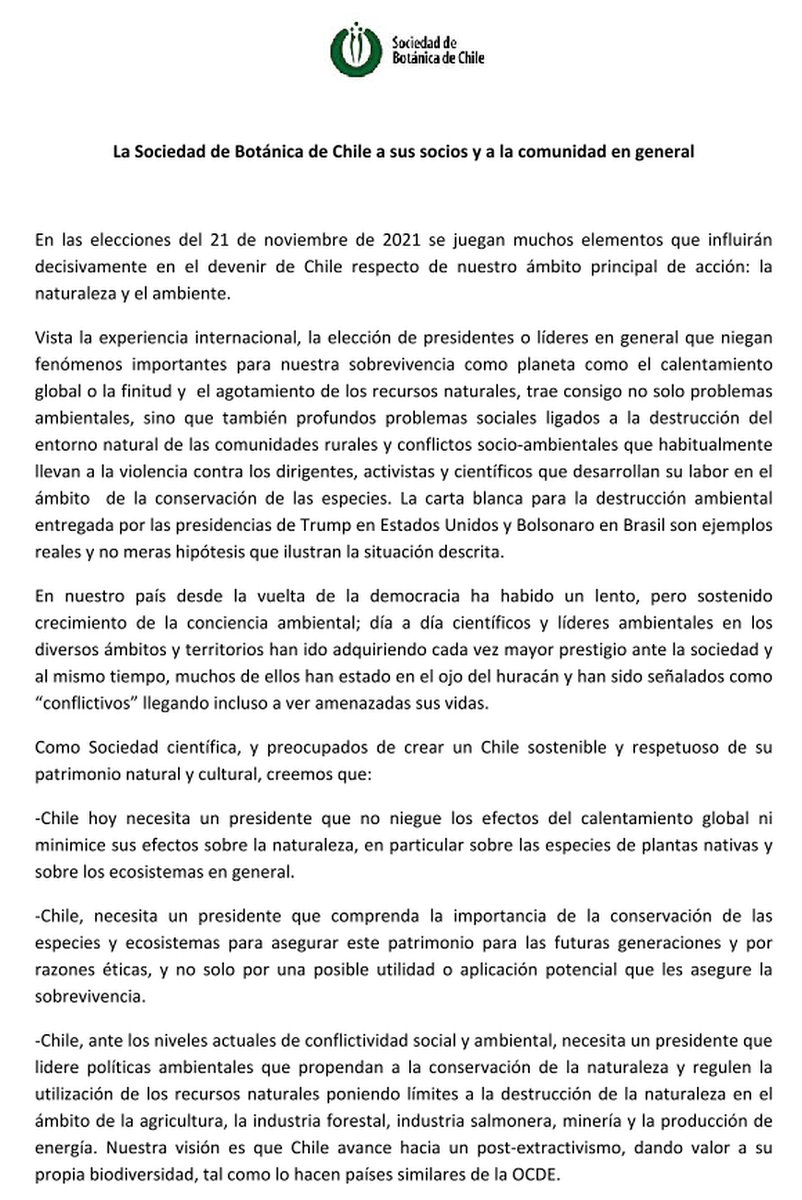 Chilebosque tweet media