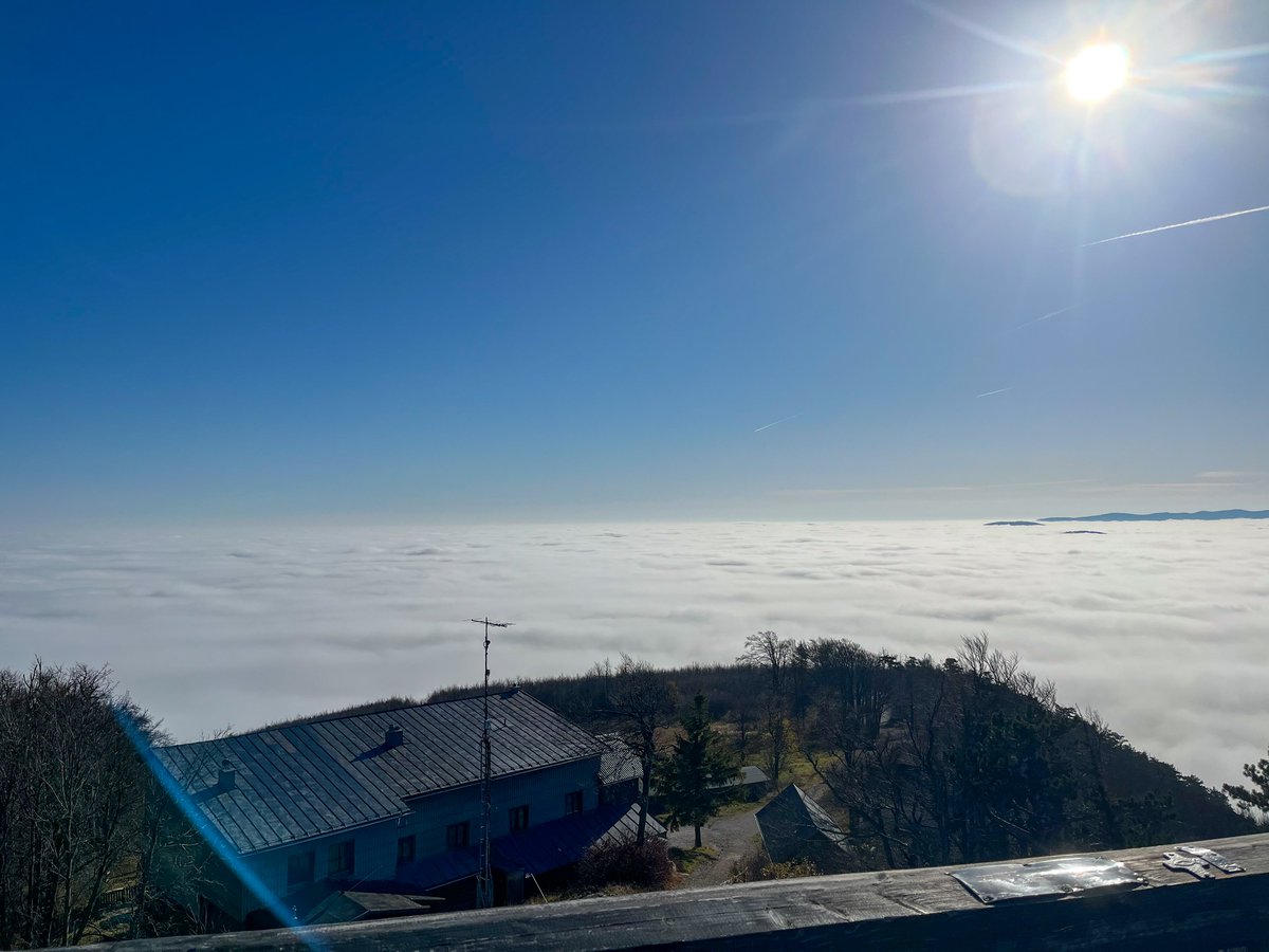 StormAustria's tweet photo. Die #Inversion trieb unseren Obmann-Stv. heute auf das #Hocheck in den Gutensteiner #Alpen. Vom knapp über 1.000m hohen #Gipfel im #Triestingtal bot sich dieser atemberaubende Blick über das #Nebelmeer
Es entstand sogar der optische Effekt einer #Glorie
#Hochnebel #Nebel #Herbst https://t.co/0vxNyYvTSz