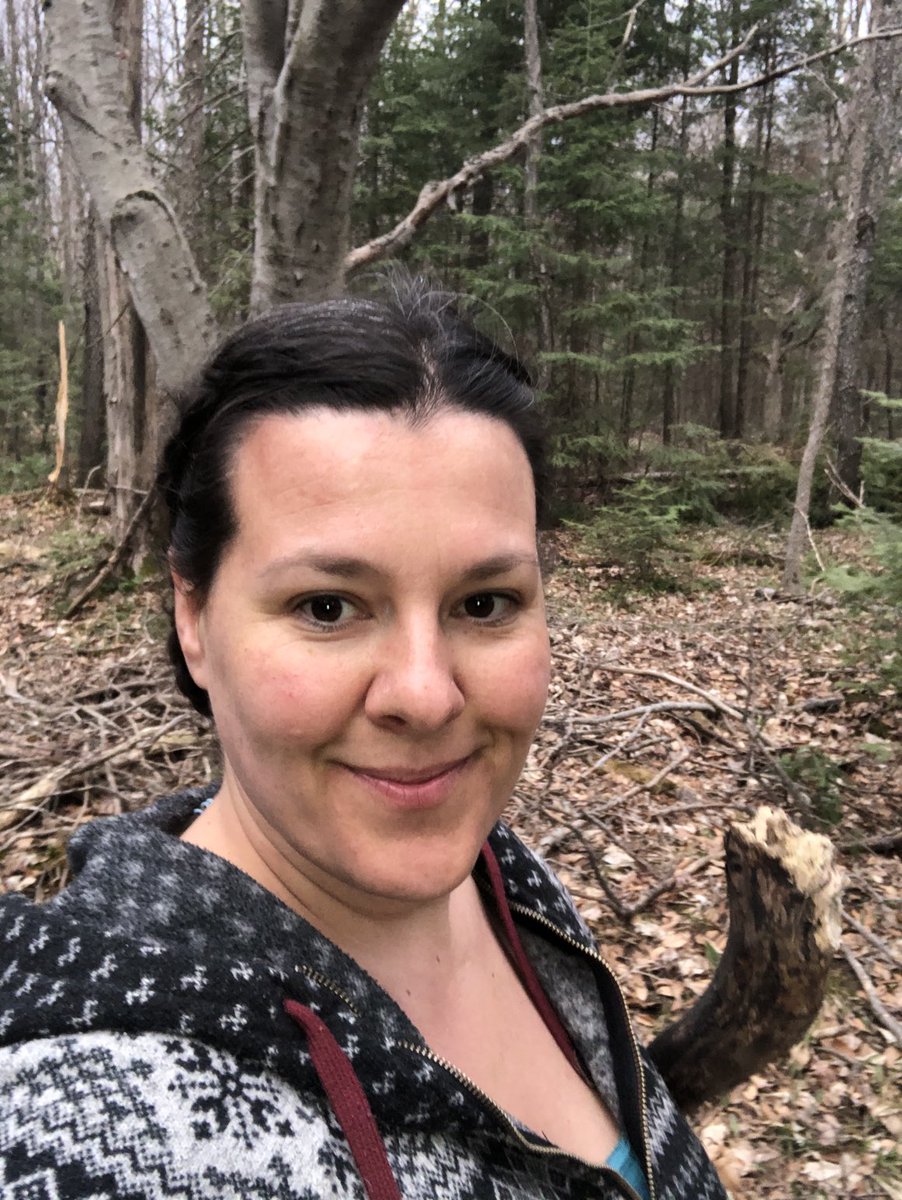 LuvLoLive's tweet image. #bunkielife When I win this bunkie I will be putting it right here behind me.  It will be called Hopeville Haven.  🍀🐿🐾🌿🍂🍁🍄☀️