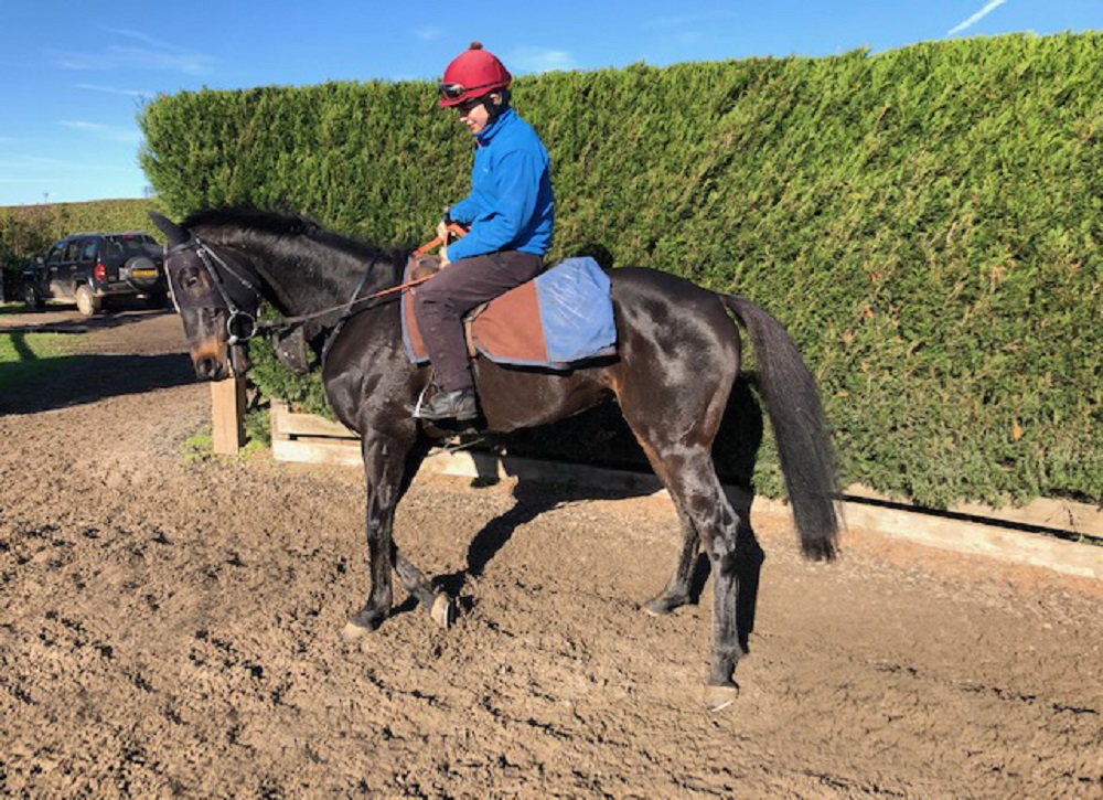 RaceHorseTrader's tweet photo. Lot 7: LIGHT UP OUR STARS
Bidding is underway on Light Up Our Stars, a last time out winner @WolvesRaces who bids for the follow up in the 4.30 tomorrow!
New asking bid of £7,000!
#getyourbidsin #winnerforsale
Auction ends Tuesday.
https://t.co/V9uMMqxT3X https://t.co/2hOv8ox8uM