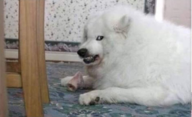 --Cariño ¿te ayudo con el postre?
--...