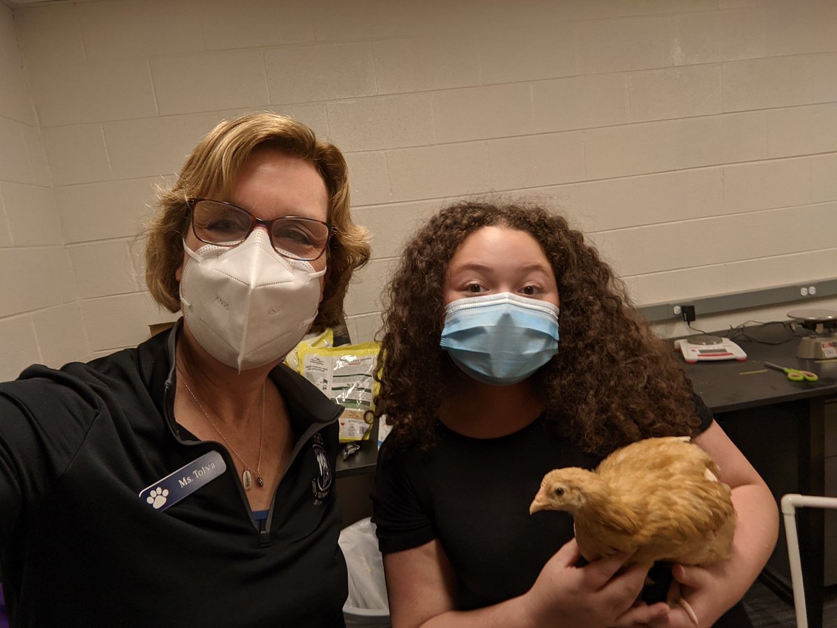 MonicaTolva's tweet photo. Working with #STEMCapstone class has felt less like teaching students and more like helping fellow researchers. Shout out to their awesome teacher Amy Elliott, Jacob and his genetic disease topic, and Shayna and her chickie babies. @ProsiseBio @District128 @D128Union https://t.co/4f9VHifPjU
