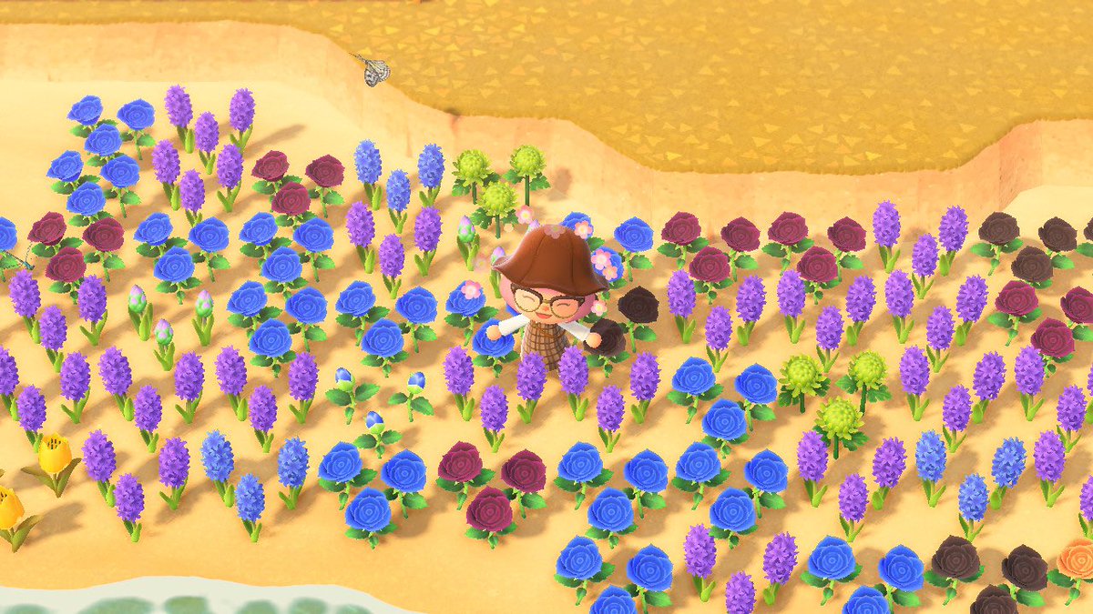 budgetgremlin's tweet photo. does anyone wanna come over and take some of my flowers? (*´꒳`*) free of charge! https://t.co/CTL2PUN3uQ