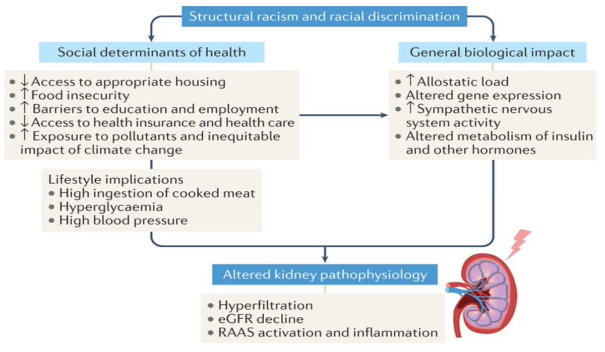 tsaiduck77's tweet photo. Baby's 1st Nature paper @NatRevNeph on #HealthInequities #Race &amp; #nephrology is out! Why all this discussion on #racemedicine &amp; #eGFR, why does it matter? We explain how getting this conversation wrong hampers our field's progress &amp; causes harm to our pts https://t.co/u0FR8HhB87 https://t.co/QZ0iN5xWrH